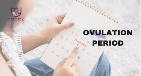 identifying your ovulation period