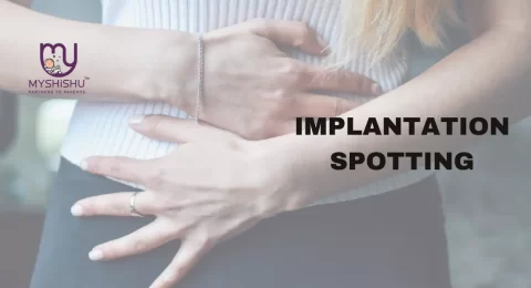 characteristics of implantation spotting