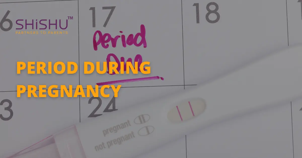 Period during pregnancy