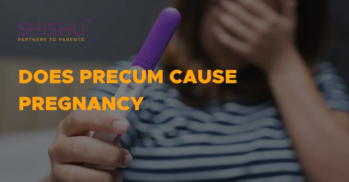 Does Precum Cause Pregnancy