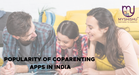 popularity of co parenting app