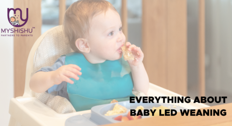 Everything you need to know about Baby led weaning