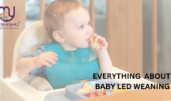 Everything You Need to Know About Baby-Led Weaning (BLW)