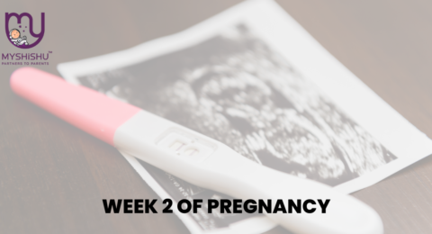 Pregnancy At Week TB 2