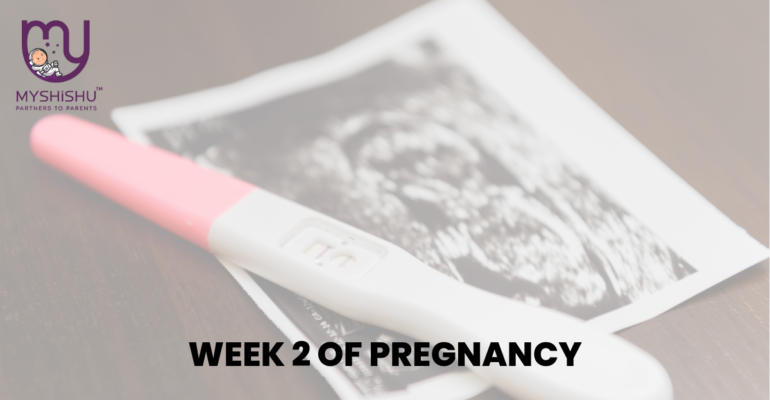 Pregnancy At Week TB 2