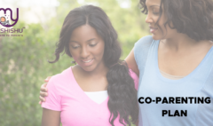 Co-Parenting-Plan