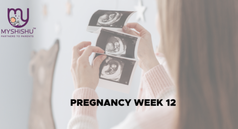 pregnancy week 12