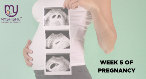 Week-5-of-Pregnancy