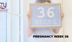 pregnancy week 36