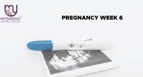 pregnancy-week-6